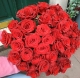 Scarlet - 1